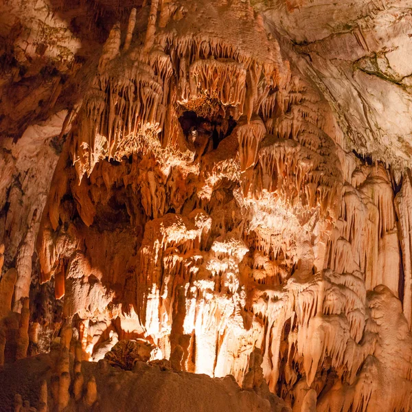 Şaşırtıcı postojna mağara, Slovenya