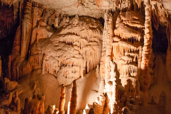 Şaşırtıcı postojna mağara, Slovenya