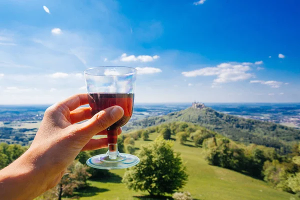 Two Glasses Red Wine Picnic Nature View — Stock Photo, Image