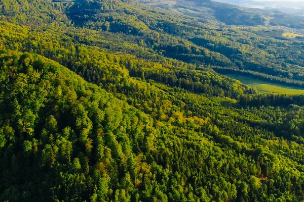 Luftaufnahme Des Waldes Den Bergen Deutschland Foto Mit Drohne Aufgenommen — Stockfoto