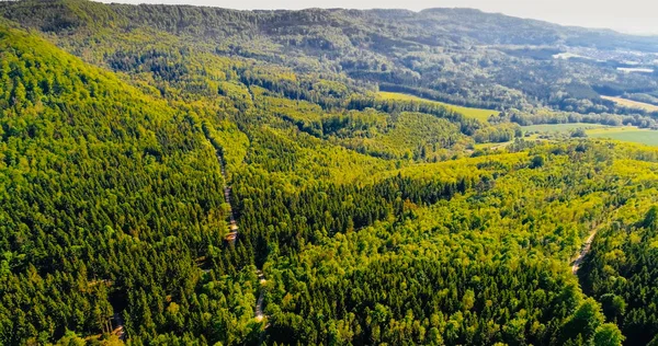 Vista Aérea Floresta Nas Montanhas Alemanha Foto Tirada Com Drone — Fotografia de Stock