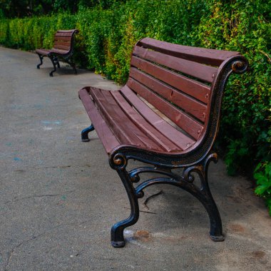 Yazın batanik bahçe parkında güzel bir bank.