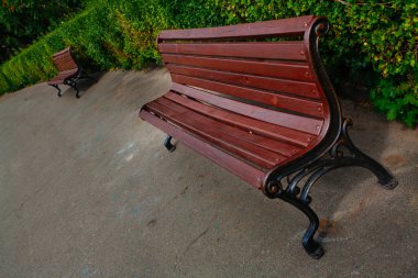 Yazın batanik bahçe parkında güzel bir bank.