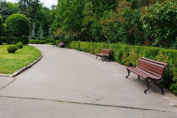 Schöne Alte Bank Batanischen Gartenpark Sommer — Stockfoto