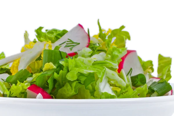 Salada Legumes Frescos Prato Isolada — Fotografia de Stock