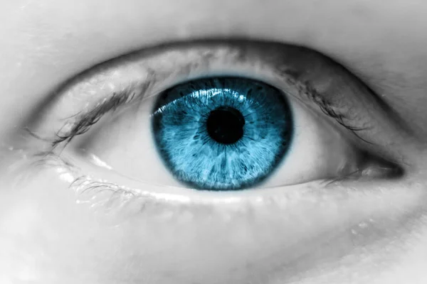 Olho Azul Humano Macro — Fotografia de Stock