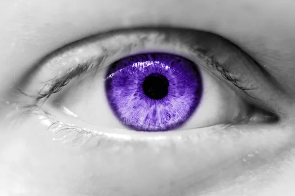 Makro Menschliches Violettes Auge — Stockfoto