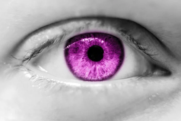 Menschliches Lila Auge Makro — Stockfoto