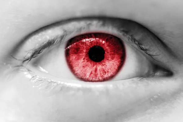 human red eye macro