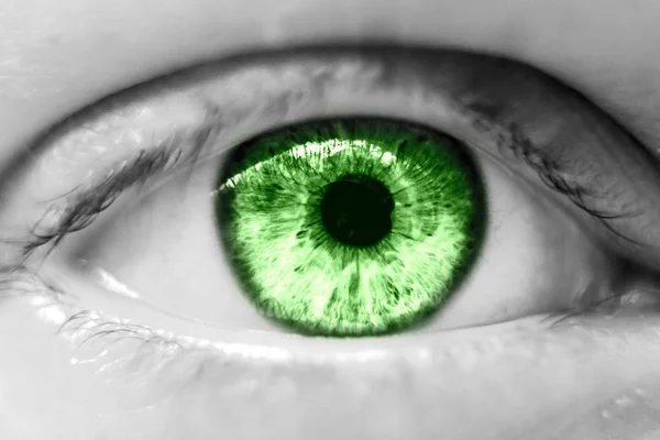 Olho Verde Humano Macro — Fotografia de Stock