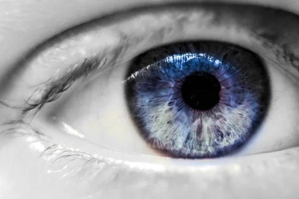 Makro Menschliches Blaues Auge — Stockfoto