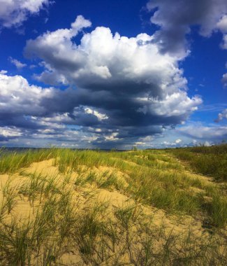 Gezinti beyaz se Gdansk, Polonya