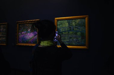 Paris, Fransa - 2 Ekim 2016: Kalıcı collectio ziyaret