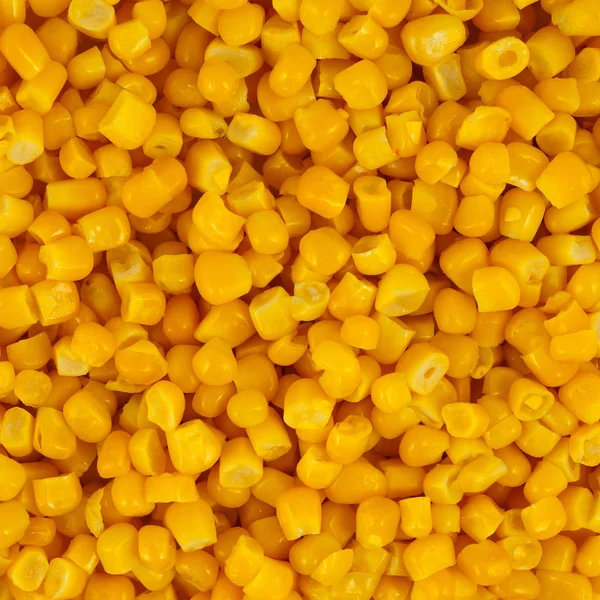 많은 노란 옥수수 낟알 — 스톡 사진