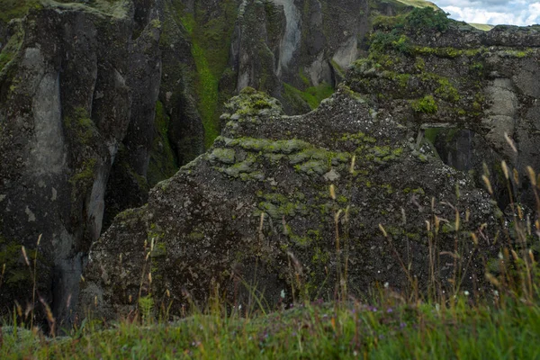 Increíble cañón de Fjadrargljufur en verano, Islandia — Foto de Stock