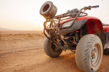 Şarm El 'in kuzeyinde Mısır çölünde gezi için arabalar