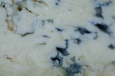 mavi peynir kapatın. peynir arka plan