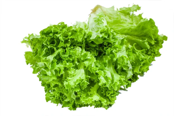 Salada de alface verde fresca isolada sobre branco — Fotografia de Stock