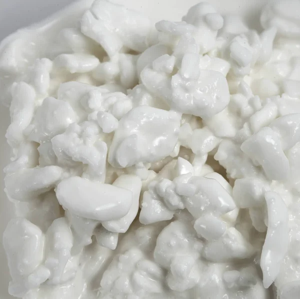 Čerstvý bílý původ sýru v chalupě — Stock fotografie