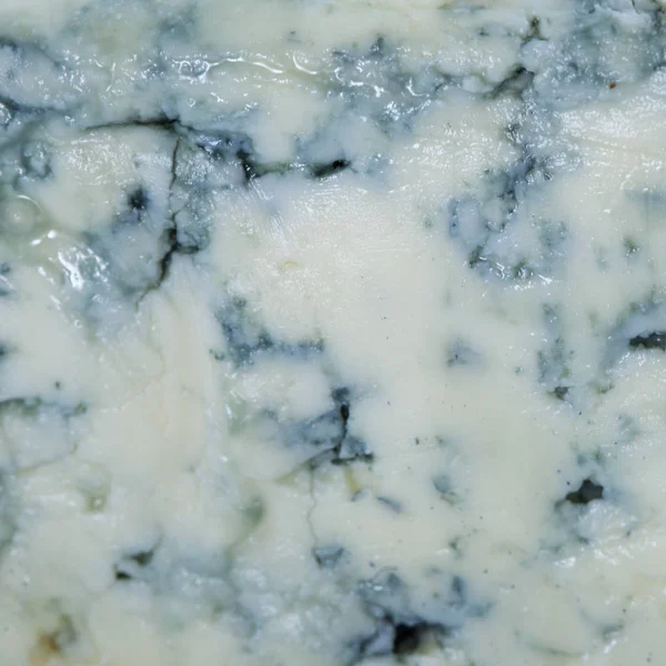 Primer plano de queso azul. Fondo de queso — Foto de Stock