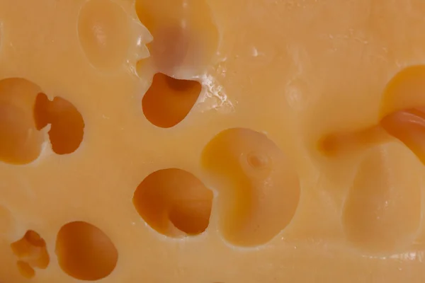Textura de queso, primer plano —  Fotos de Stock