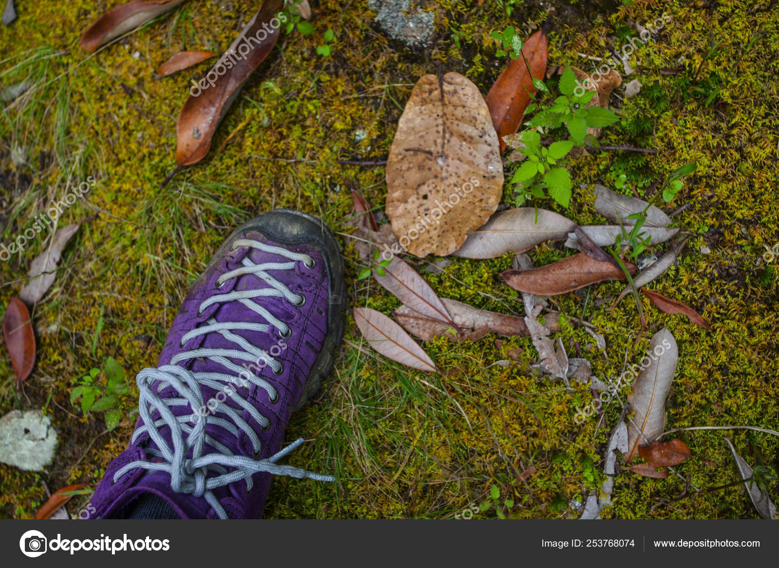 Id nature shoes sale