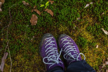 Doğada mor trekking ayakkabıları. Nepal