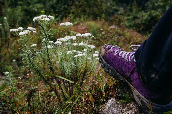 大自然上的紫罗兰徒步鞋。尼泊尔 — 图库照片