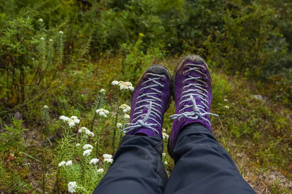 Violet trekking shoes on the nature. Nepal — Stock Photo, Image