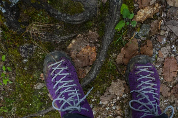 Фиолетовая туристическая обувь на природе. Непал — стоковое фото