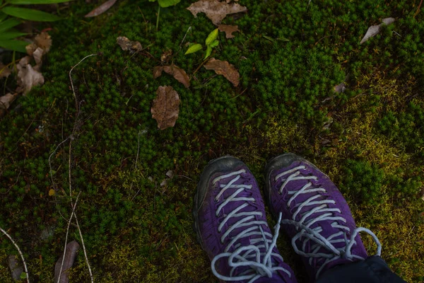 Zapatos de trekking violeta en la naturaleza. Nepal —  Fotos de Stock