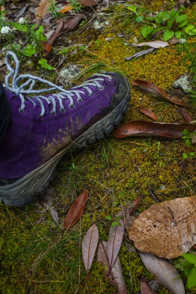 Zapatos de trekking violeta en la naturaleza. Nepal —  Fotos de Stock