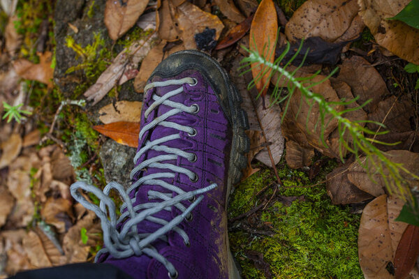 Violet trekking shoes on the nature. Nepal