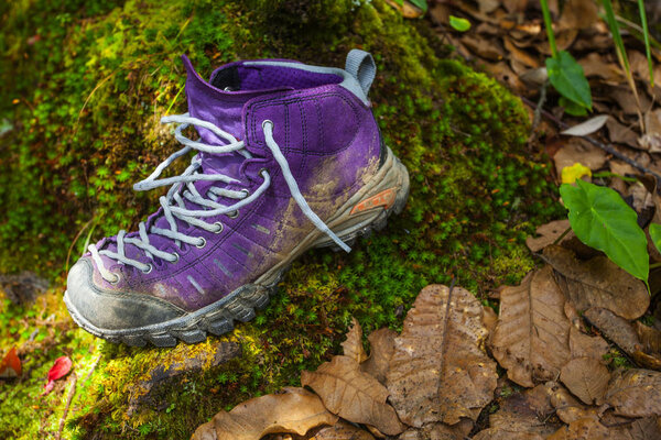 Violet trekking shoes on the nature. Nepal