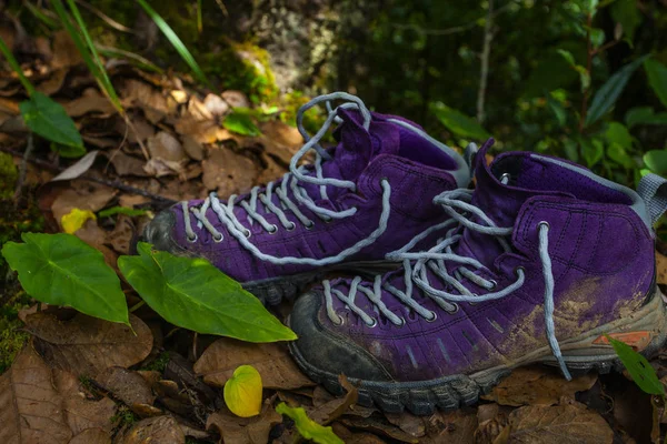 Zapatos de trekking violeta en la naturaleza. Nepal —  Fotos de Stock