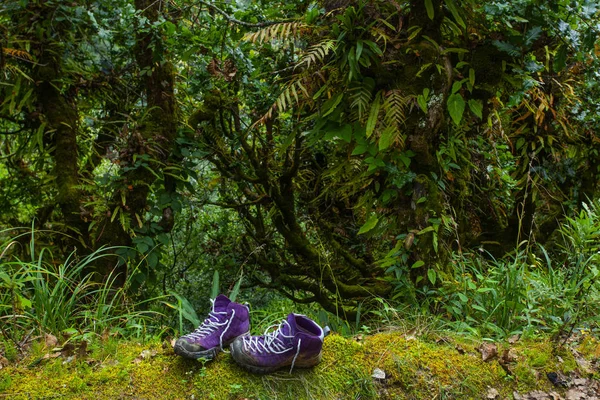 Violette Trekkingschuhe in der Natur. Nepal — Stockfoto