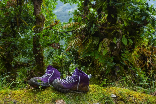 Violette Trekkingschuhe in der Natur. Nepal — Stockfoto