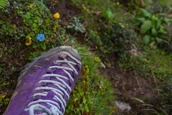 Zapatos de trekking violeta en la naturaleza. Nepal —  Fotos de Stock