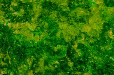 Pastel kalem (yağ kalemi) Yeşil soyut çizim, arka plan