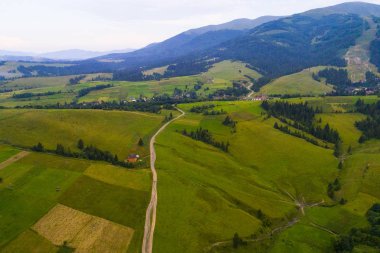 Ormanlar, çayırlar ve drone, Ukrayna ile alınan Karpat Dağları tepelerinde