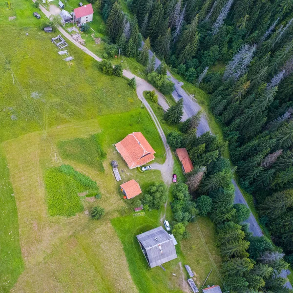 Lesy Louky Kopce Karpaty Drony Ukrajina — Stock fotografie