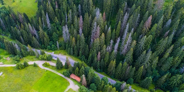Forests Meadows Hills Carpathian Mountains Taken Drone Ukraine — Stock Photo, Image