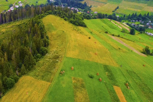 Wälder Wiesen Und Hügel Der Karpaten Mit Drohne Aufgenommen Ukraine — Stockfoto