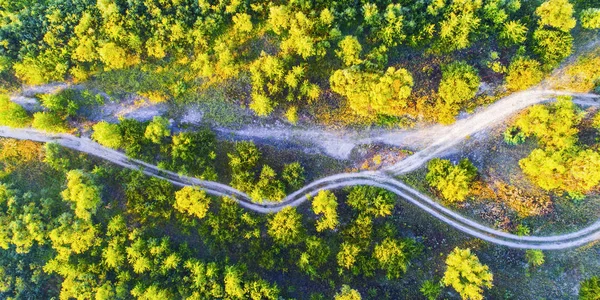 Foresta Strada Presa Dal Drone Ucraina — Foto Stock