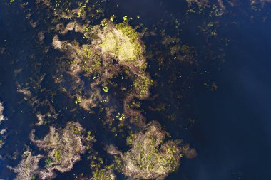 Kiev, Ukrayna yakınlarındaki nehrin üst görünümü-drone ile çekilen