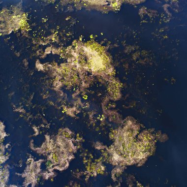 Kiev, Ukrayna yakınlarındaki nehrin üst görünümü-drone ile çekilen