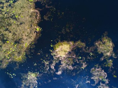 Kiev, Ukrayna yakınlarındaki nehrin üst görünümü-drone ile çekilen