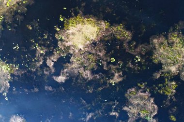 Kiev, Ukrayna yakınlarındaki nehrin üst görünümü-drone ile çekilen