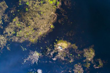 Kiev, Ukrayna yakınlarındaki nehrin üst görünümü-drone ile çekilen