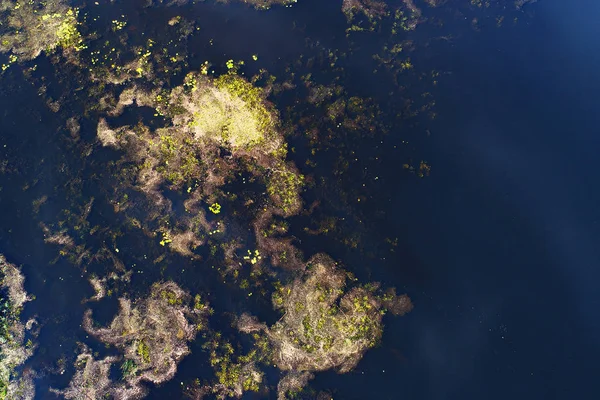 Vista Superior Rio Perto Kiev Ucrânia Tomado Com Drone — Fotografia de Stock